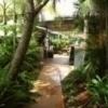 Noosa Backpackers Resort Image