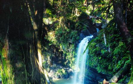 El Yunque National Forest Image