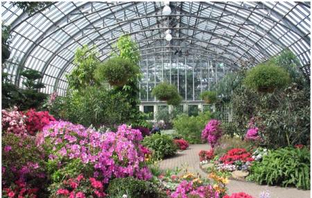 Garfield Park Conservatory Lincoln Park Conservatory Image