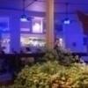 Bizon Cafe Image