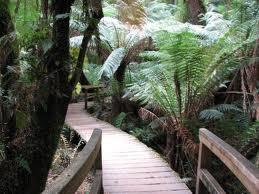 Maits Rest Image