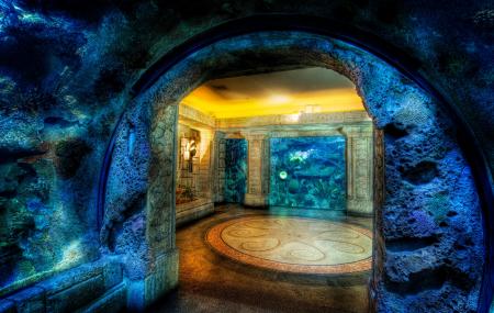 Great Barrier Reef Aquarium Image