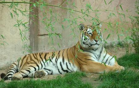 Hanover Zoo Image
