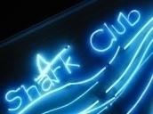 The Shark Cub Image