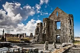 Newtown Abbey Image
