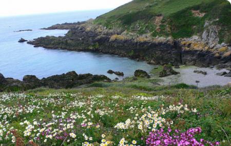 Southern Coastline Image
