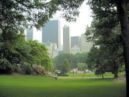 Central Park Image