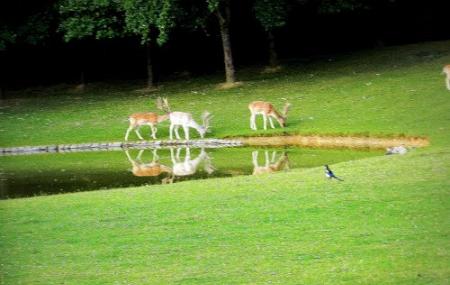 Gayeulles Park Image