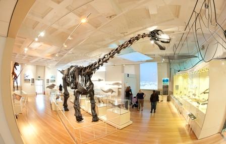 New Walk Museum And Art Gallery Image