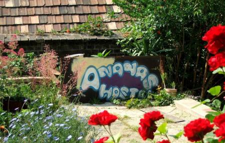 Ananas Hostel Image
