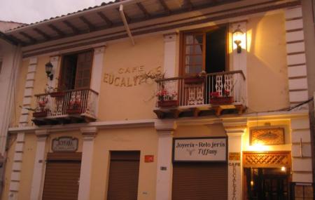 Cafe Eucalyptus Image