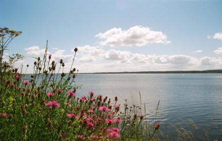 Horsens Fjord Image