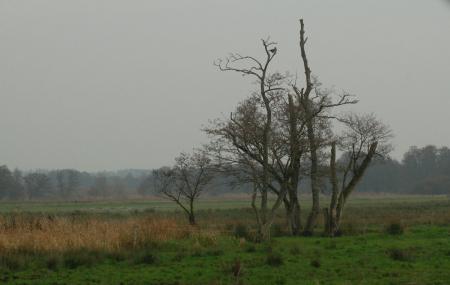 Klostermolle Image