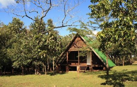 Nature Lodge Image
