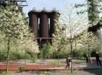 Landscape Park Image