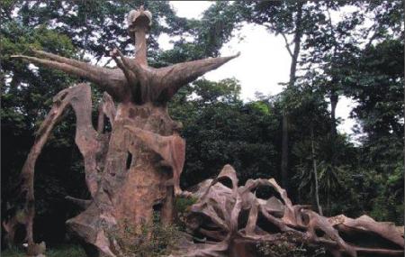 Osun Sacred Forest Image