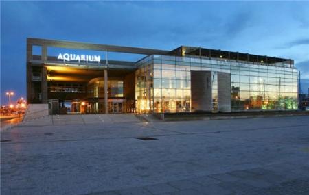 The Aquarium Image