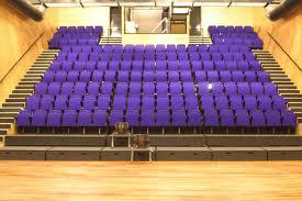 Theaterkikker Image