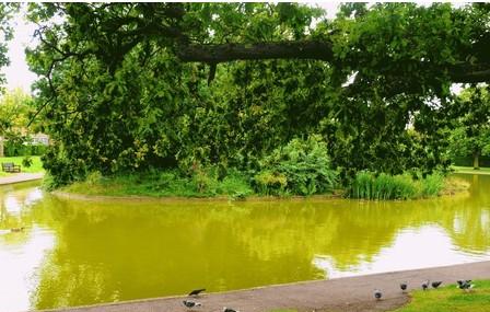 Herne Bay Memorial Park Image