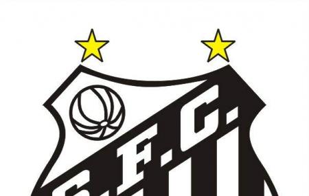 Santos Futebol Club Image