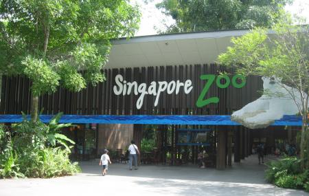 Singapore Zoo, Singapore | Ticket Price | Timings | Address: TripHobo