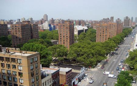 Harlem's In Image
