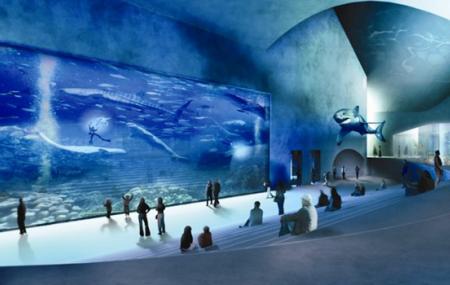 National Aquarium Copenhagen Ticket Price | Timings Address: