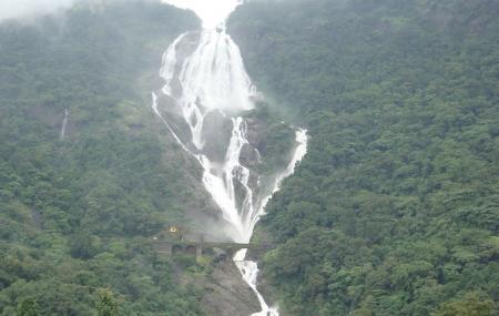 Dudhsagar Waterfall Image