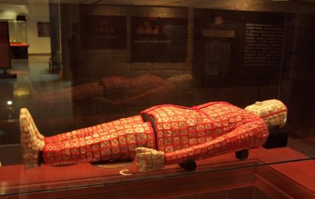 Western Han Nanyue Kings Tomb Museum Image