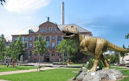 The Senckenberg Museum Of Natural History Image