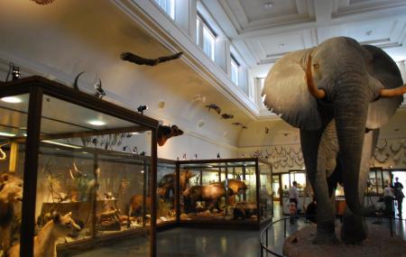 Natural History Museum Image