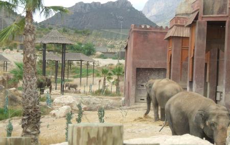 Terra Natura, Benidorm | | | Address: TripHobo