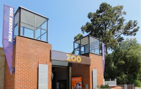 Melbourne Zoo Image