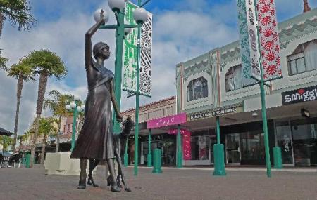 Hawkes Bay Scenic Tours Image