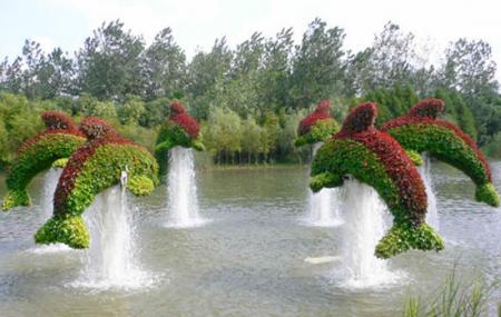 Botanical Garden Image