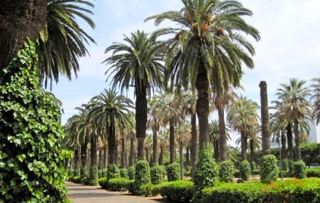 arabe parc ligue la casablanca ticket address price near hotel find morocco