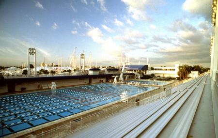 International Swimming Hall Of Fame Image
