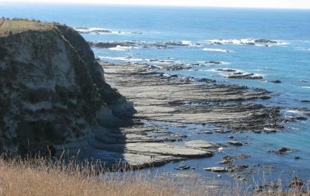 Peninsula Walkway Image