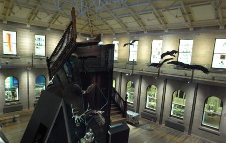 Tasmanian Museum And Art Gallery Image