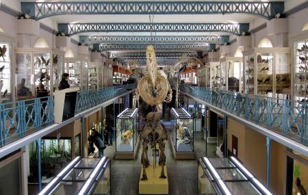 Museum Of Natural History Or Musée D'histoire Naturelle De Lille Image