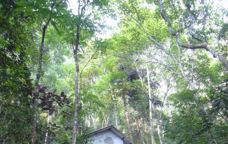 Kandy Monasteries Image