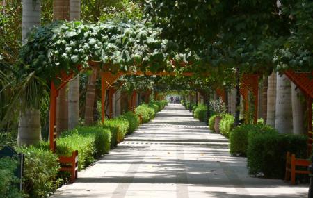 Aswan Botanical Garden, Aswan | Ticket Price | Timings | Address: TripHobo