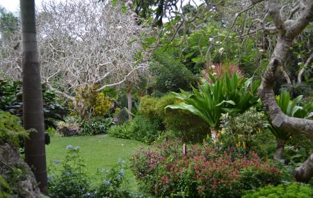 Andromeda Botanic Gardens Bathsheba Ticket Price Timings