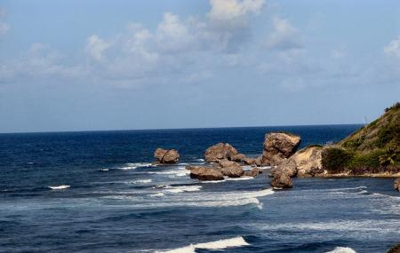 Bathsheba Beach Image