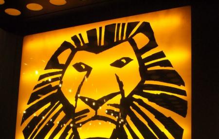 The Lion Image