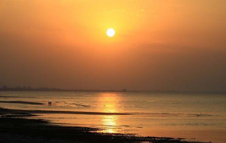 Qurum Beach Image