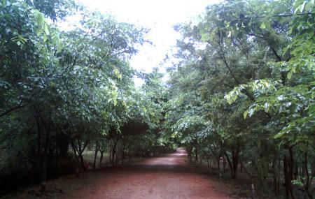 Kambalkonda Wildlife Sanctuary Image