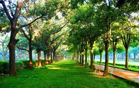 Cubbon Park Image
