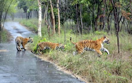 bannerghatta national park bangalore timings