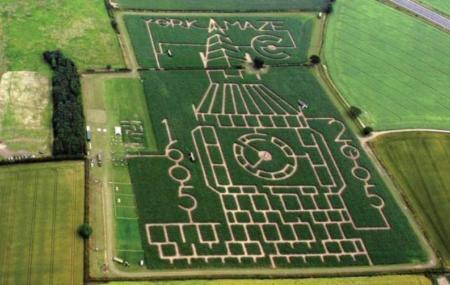 York Maze Image